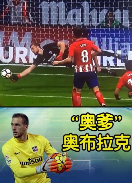 层面都具备 层面都具备