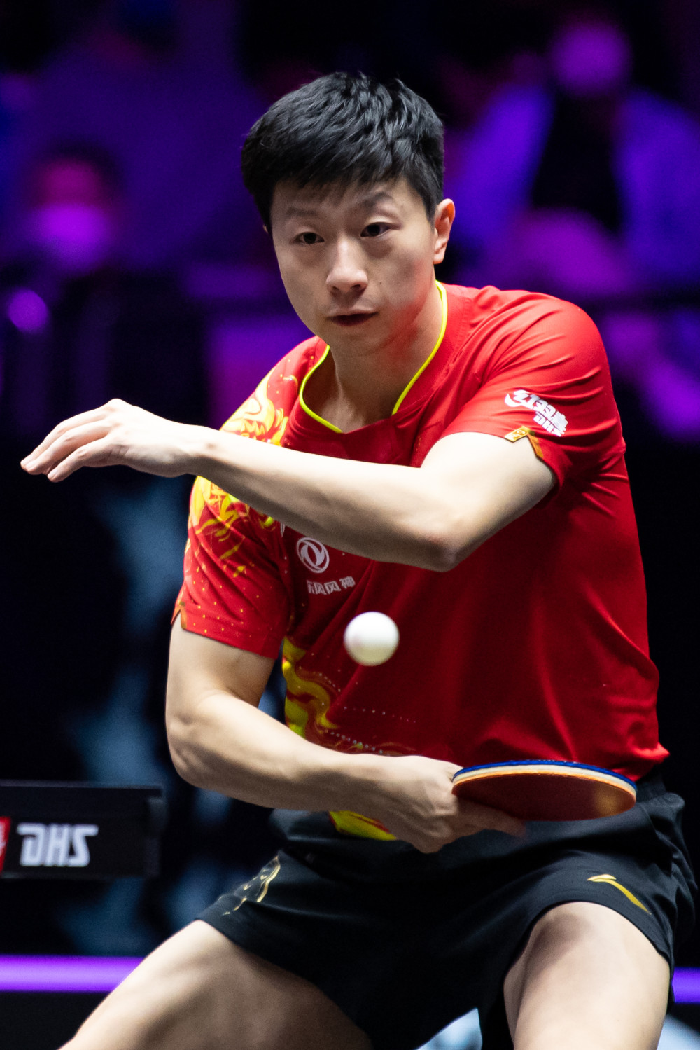 在引进新鲜 在引进新鲜